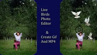 Bird Live Photo Editor screenshot