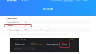 Birdload screenshot