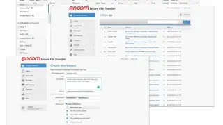 Biscom Secure File Transfer screenshot