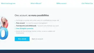 BitBay screenshot
