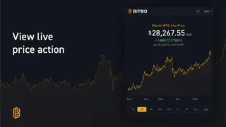 Bitbo screenshot