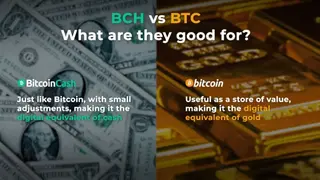 Bitcoin Cash (BCH) screenshot