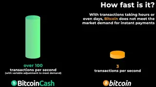 Bitcoin Cash (BCH) screenshot