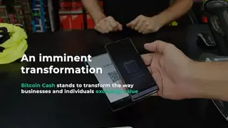 Bitcoin Cash (BCH) screenshot