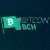 Bitcoin Cash (BCH)