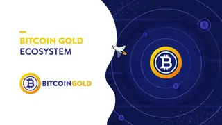 Bitcoin Gold (BTG) screenshot