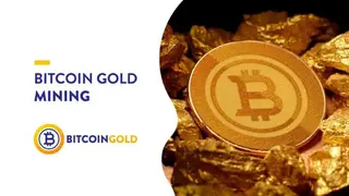Bitcoin Gold (BTG) screenshot