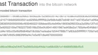 BitcoinTalk screenshot