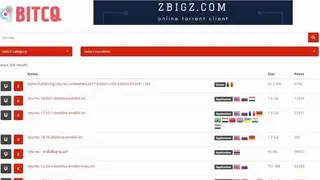 BITCQ screenshot