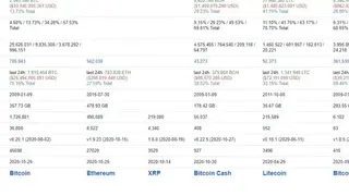 BitInfoCharts screenshot