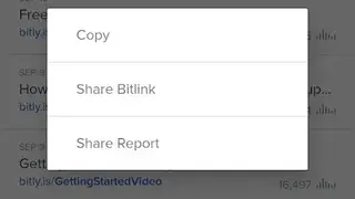 Bitly screenshot