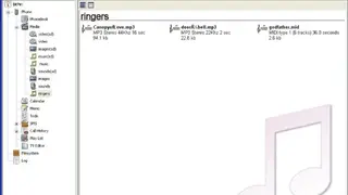BitPim screenshot
