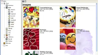BitPim screenshot