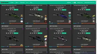 Bitskins screenshot