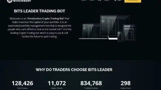 Bitsleader screenshot
