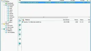 BitSpirit screenshot