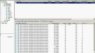 BitSpirit screenshot