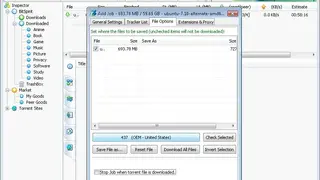 BitSpirit screenshot