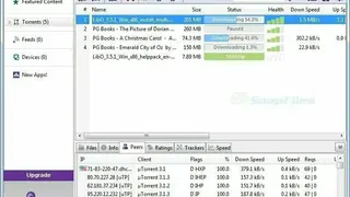 BitTorrent screenshot