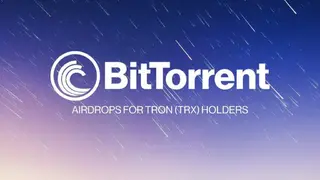 BitTorrent screenshot