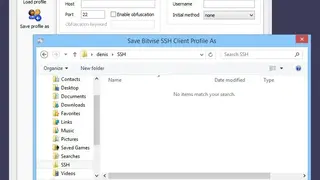 Bitvise SSH Client screenshot