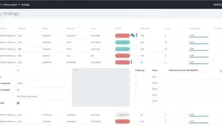 BizDataX screenshot