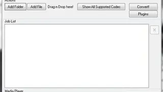 Bizdownloader screenshot