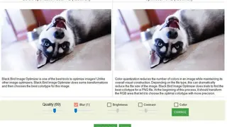 Black Bird Image Optimizer screenshot