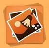 Black Bird Image Optimizer