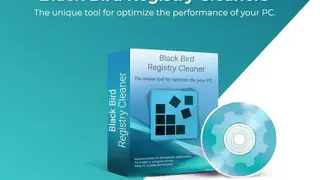 Black Bird Registry Cleaner screenshot