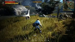 Black Desert screenshot