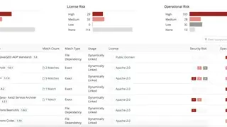 Black Duck Hub screenshot