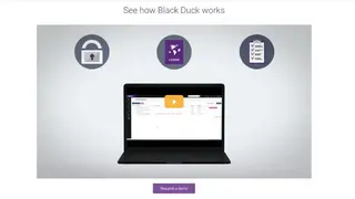 Black Duck Software Composition Analysis (SCA) screenshot