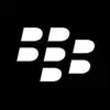 BlackBerry Enterprise Mobility Management