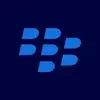 BlackBerry Optics