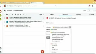 BlackBerry Workspaces screenshot