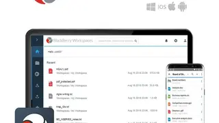 BlackBerry Workspaces screenshot