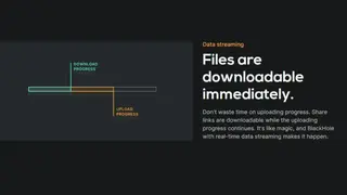 BlackHole File Transfer screenshot