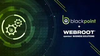 Blackpoint Cyber MDR screenshot
