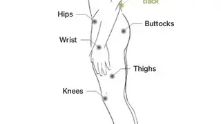 BLACKROLL® Fascia Stretching, Flexibility Training screenshot