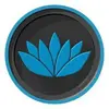 Bliss OS