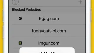 Block Distracting Websites screenshot