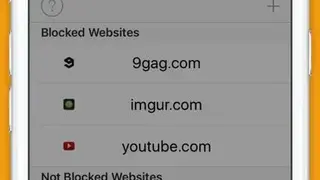 Block Distracting Websites screenshot