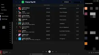 BlockTheSpot screenshot