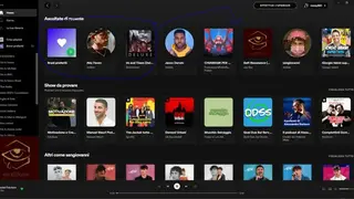BlockTheSpot screenshot