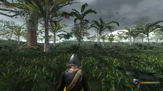 Blood and Gold: Caribbean screenshot