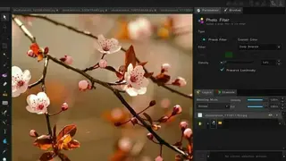 Bloom screenshot