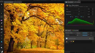Bloom screenshot