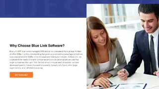 Blue Link ERP screenshot