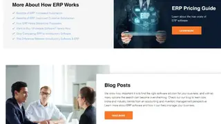 Blue Link ERP screenshot